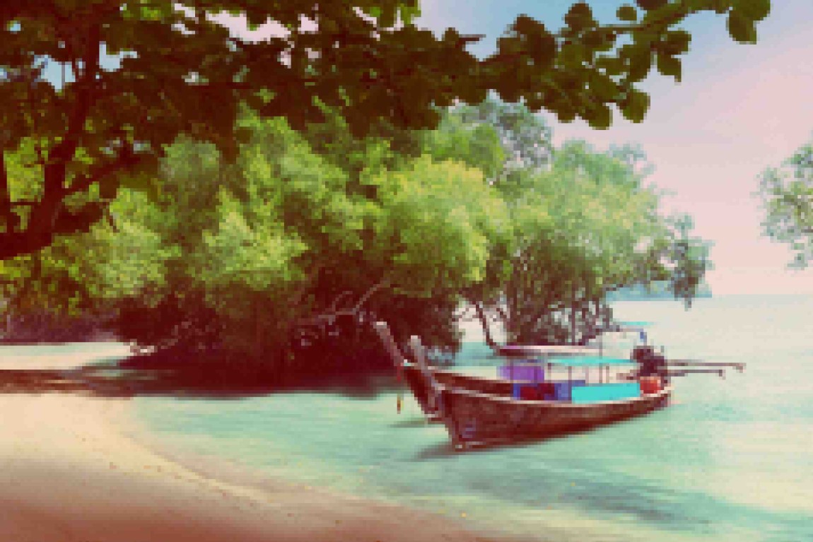 tree-in-water-and-long-boats.jpg